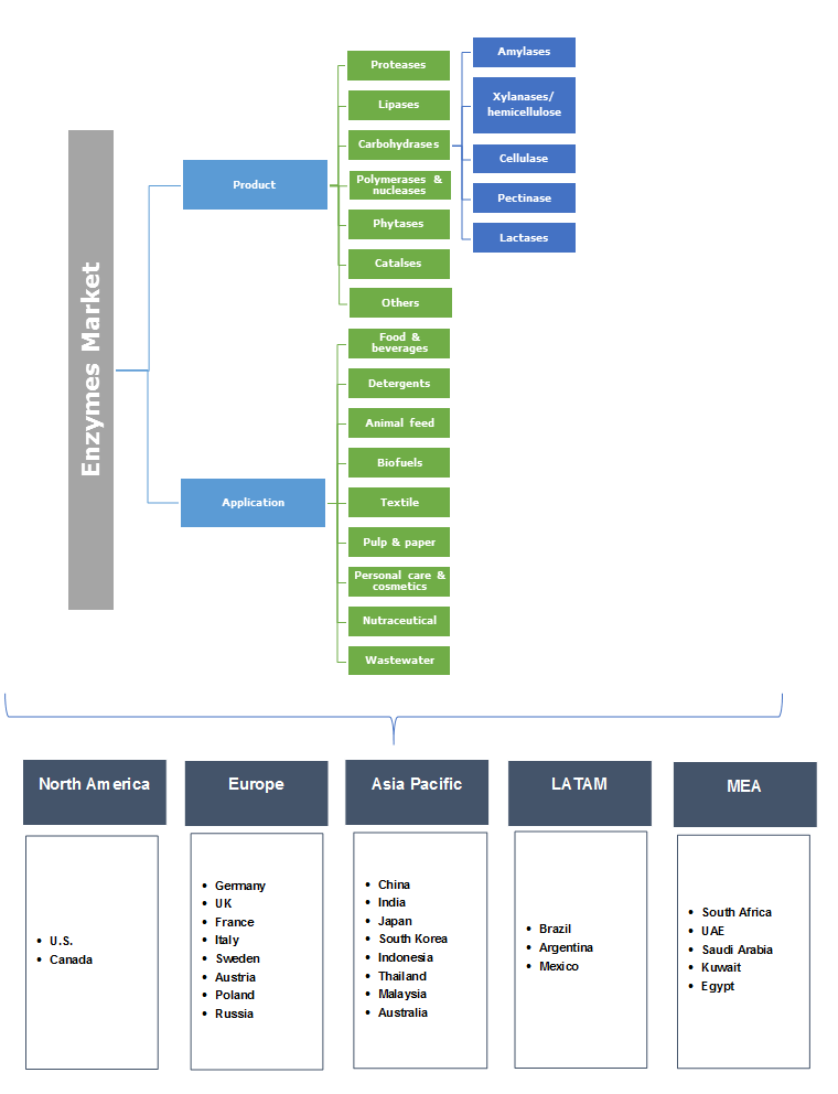 Enzymes Market