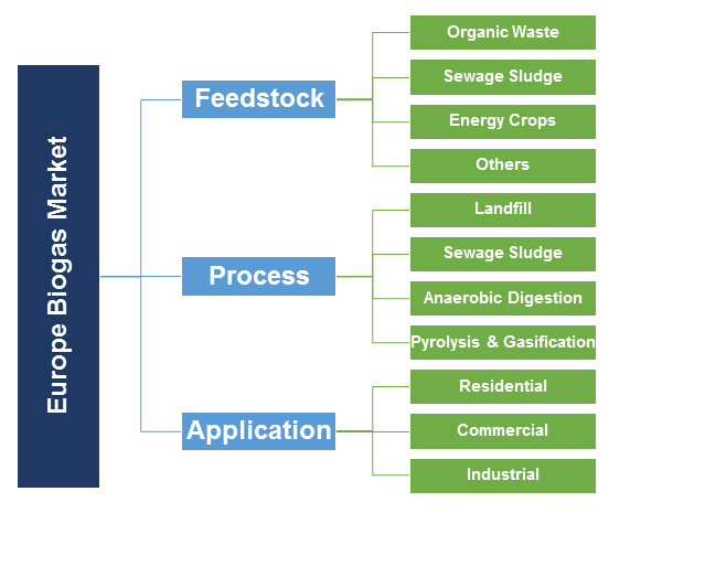 Europe Biogas Market