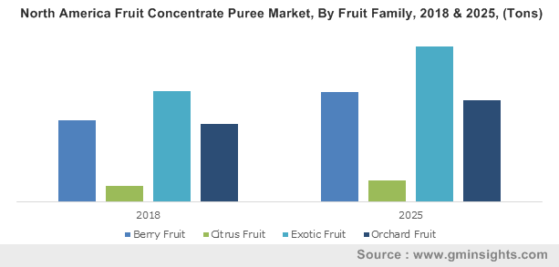 Global Fruit Concentrate Puree Market 