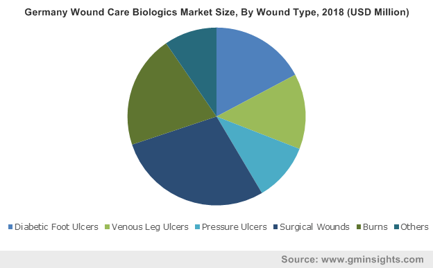  Germany Wound Care Biologics Market By Wound Type