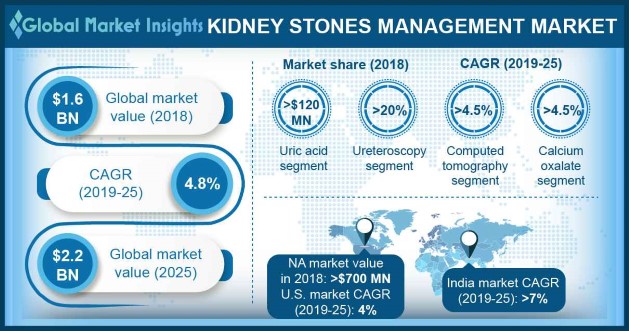 U.S. Kidney Stones Management Market Size, by Treatment, 2013-2024 (USD Million)