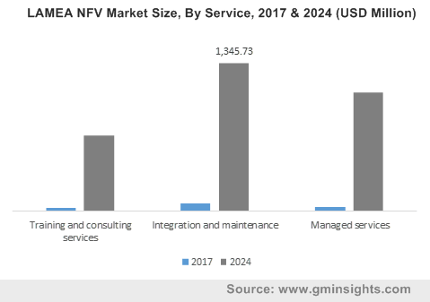 LAMEA NFV Market By Service