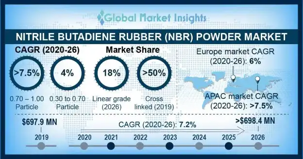 Nitrile Butadiene Rubber Powder Market Outlook