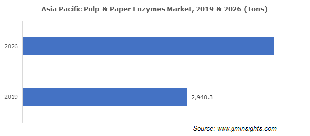 Pulp & Paper Enzymes Market Revenue by Region