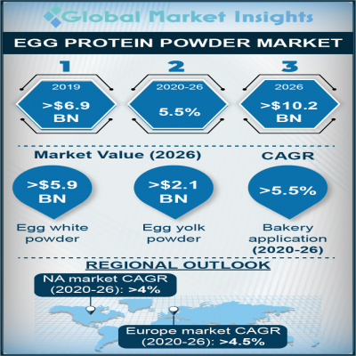 egg protein powder market