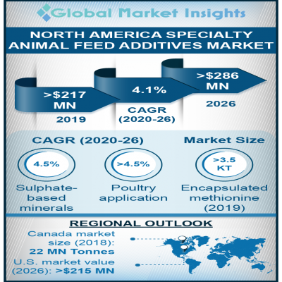 north america specialty animal feed additives market