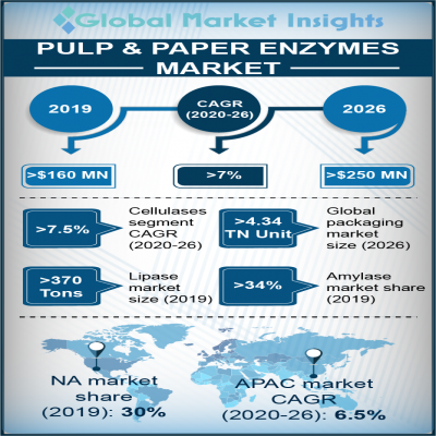 pulp and paper enzymes market