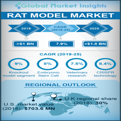 rat model market